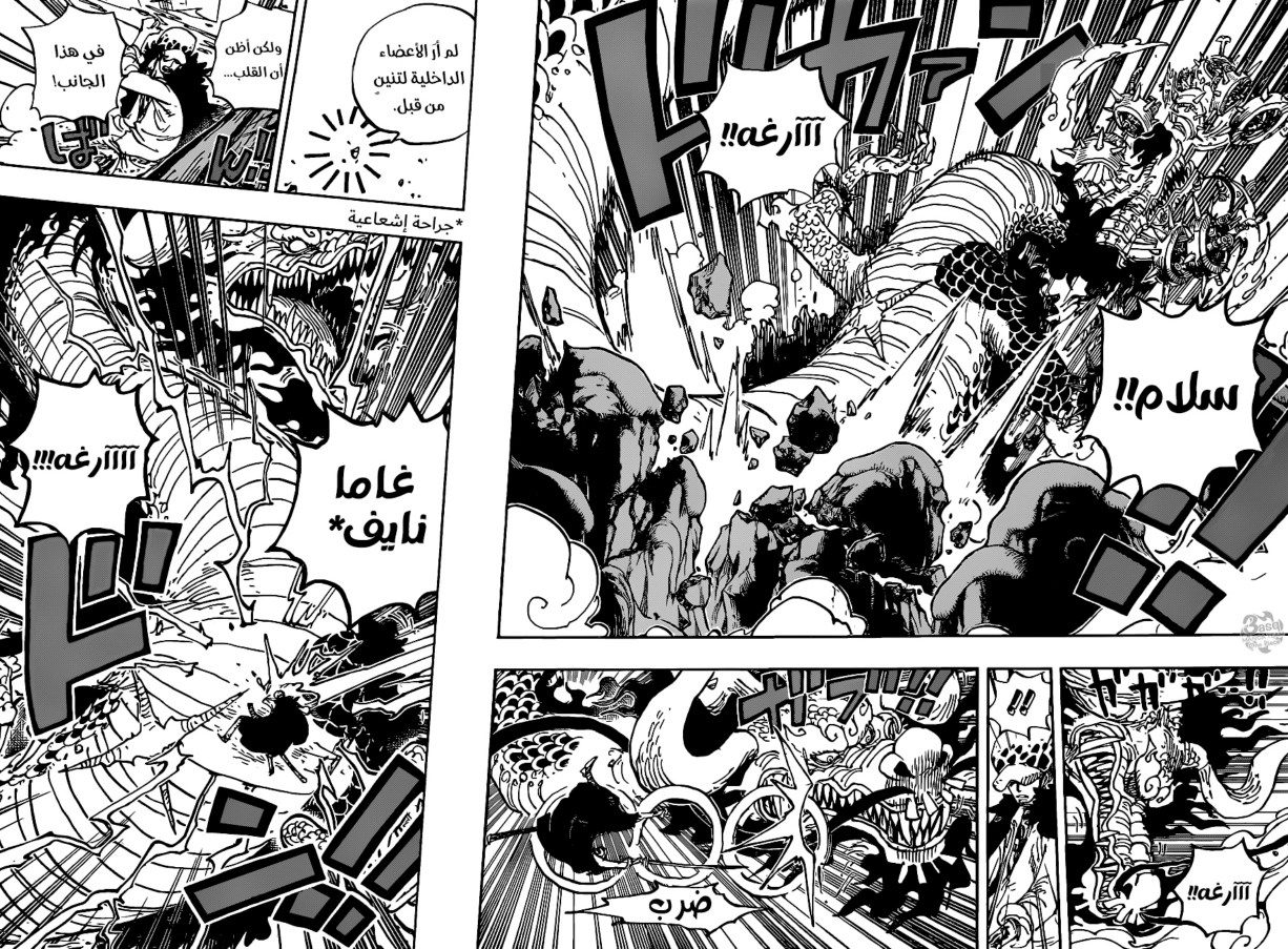ون بيس الفصل 1002 - الصفحة 5