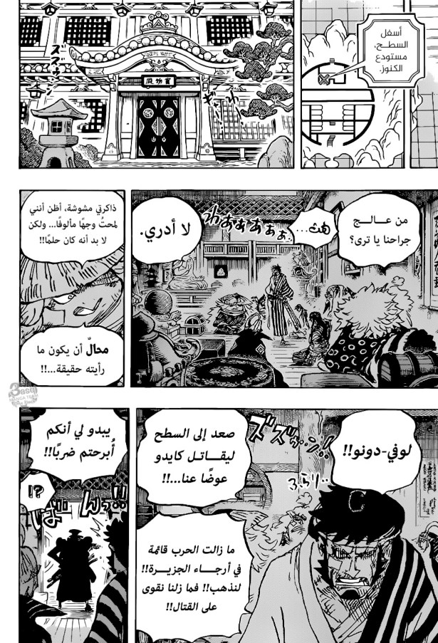 ون بيس الفصل 1007 - الصفحة 15