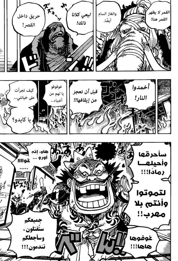 ون بيس الفصل 1008 - الصفحة 13