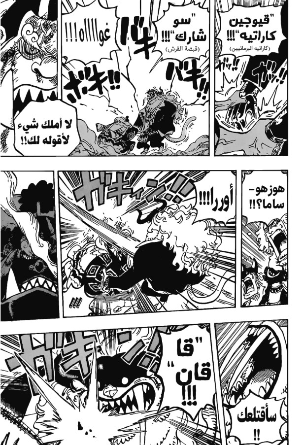 ون بيس الفصل 1018 - الصفحة 15