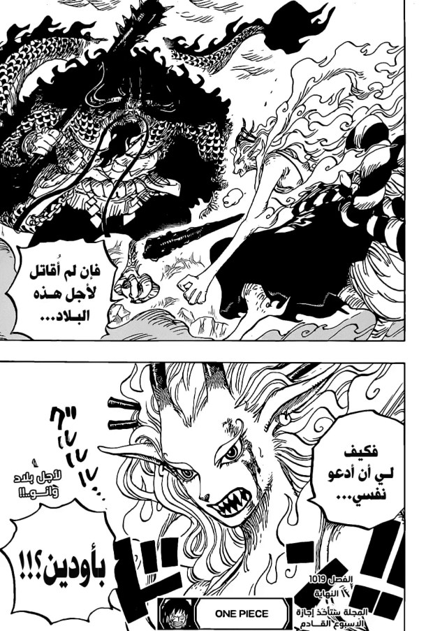 ون بيس الفصل 1019 - الصفحة 18