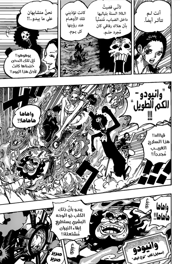 ون بيس الفصل 1020 - الصفحة 9