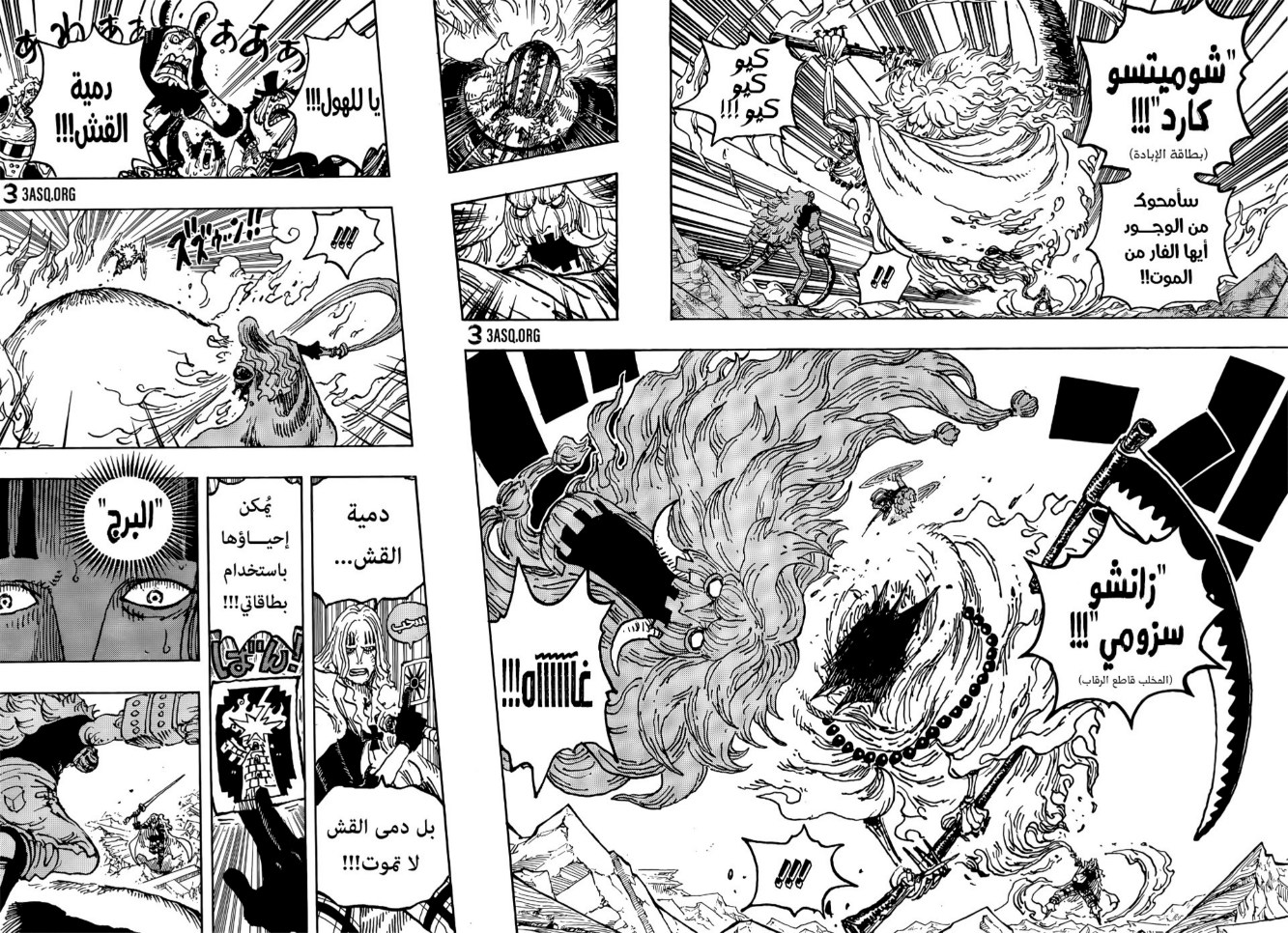 ون بيس الفصل 1029 - الصفحة 13