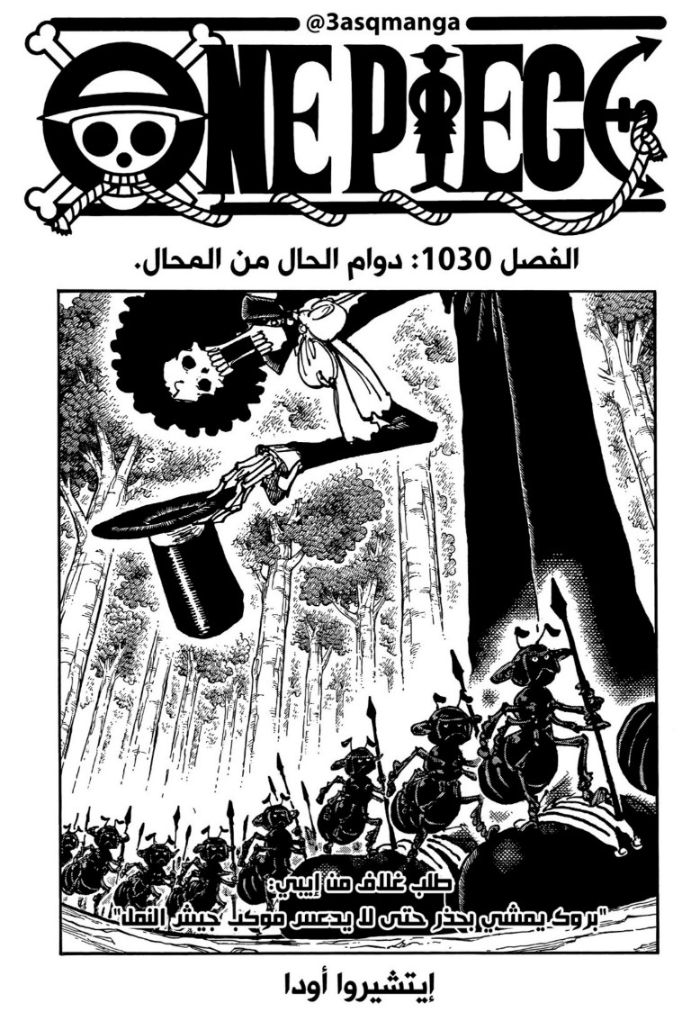 ون بيس الفصل 1030 - الصفحة 1