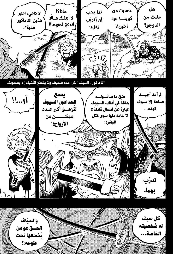 ون بيس الفصل 1033 - الصفحة 13