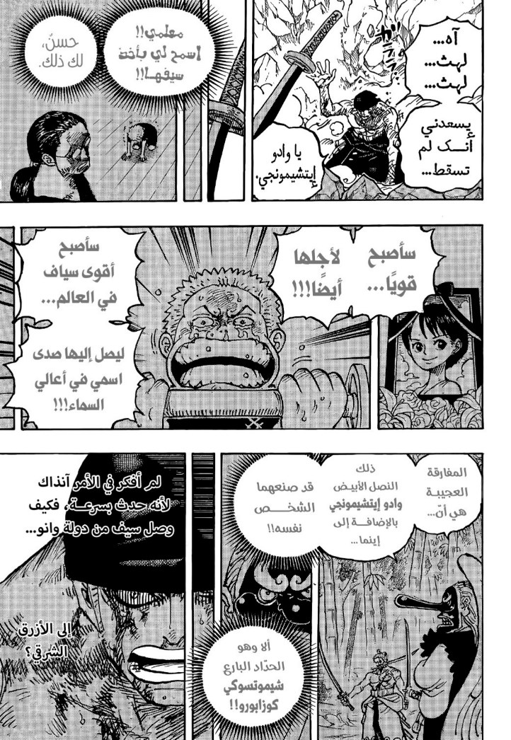 ون بيس الفصل 1033 - الصفحة 9