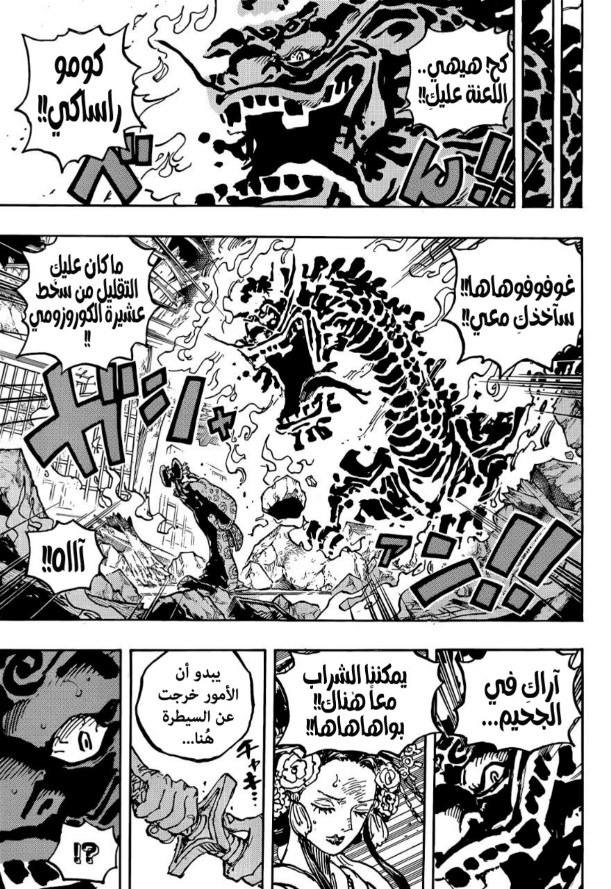 ون بيس الفصل 1048 - الصفحة 13