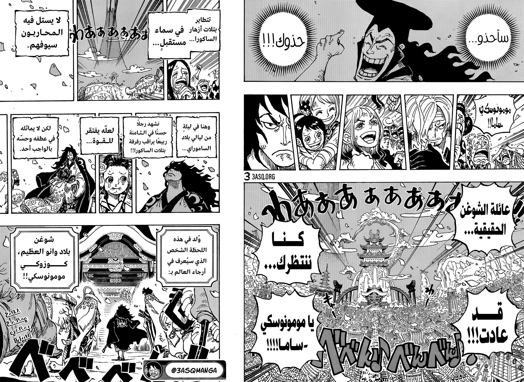 ون بيس الفصل 1051 - الصفحة 15