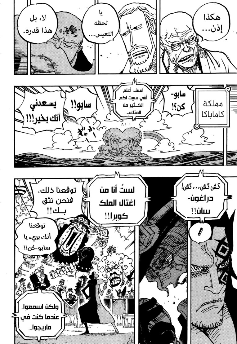 ون بيس الفصل 1060 - الصفحة 10