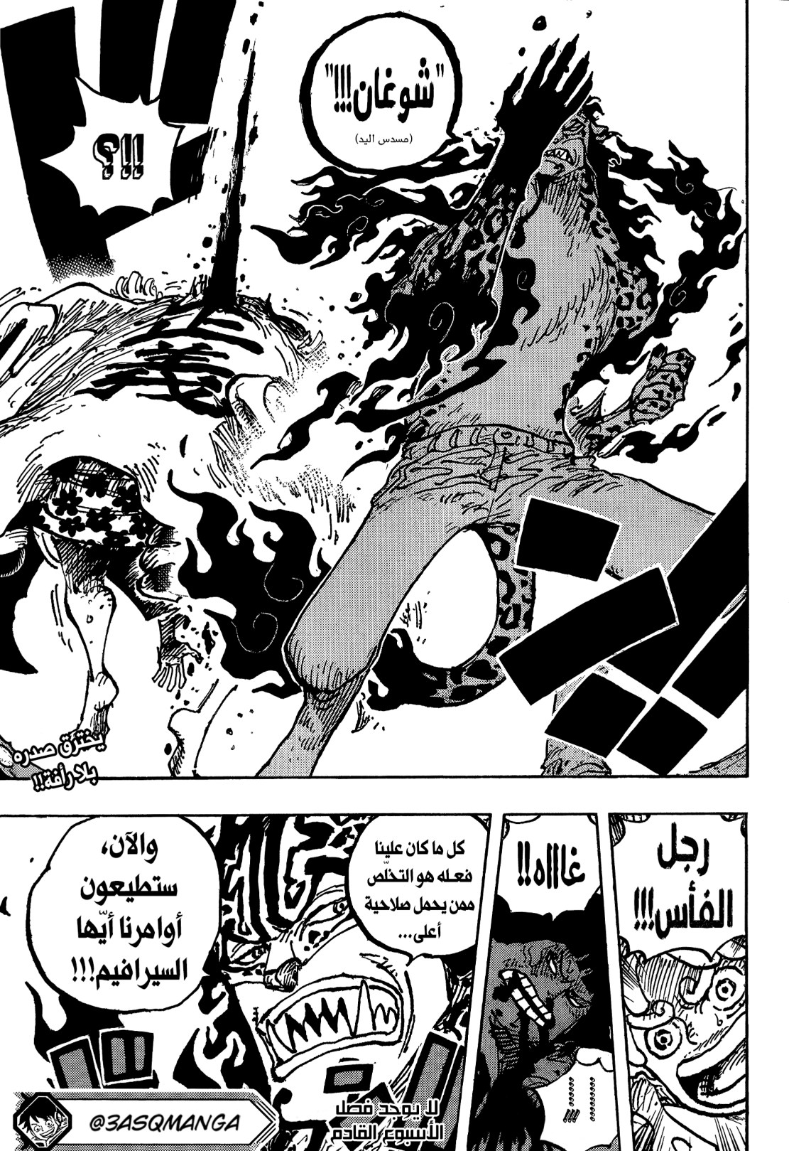 ون بيس الفصل 1069 - الصفحة 14