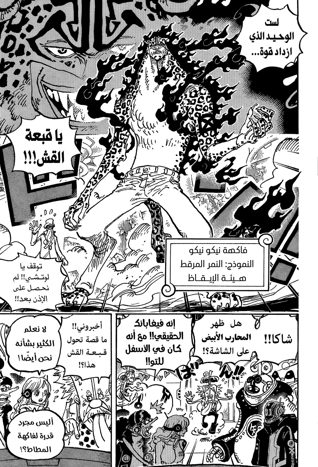 ون بيس الفصل 1069 - الصفحة 7