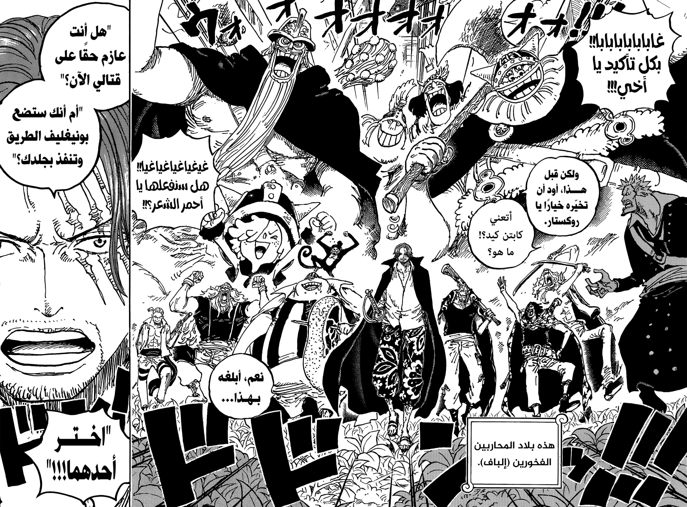 ون بيس الفصل 1076 - الصفحة 12