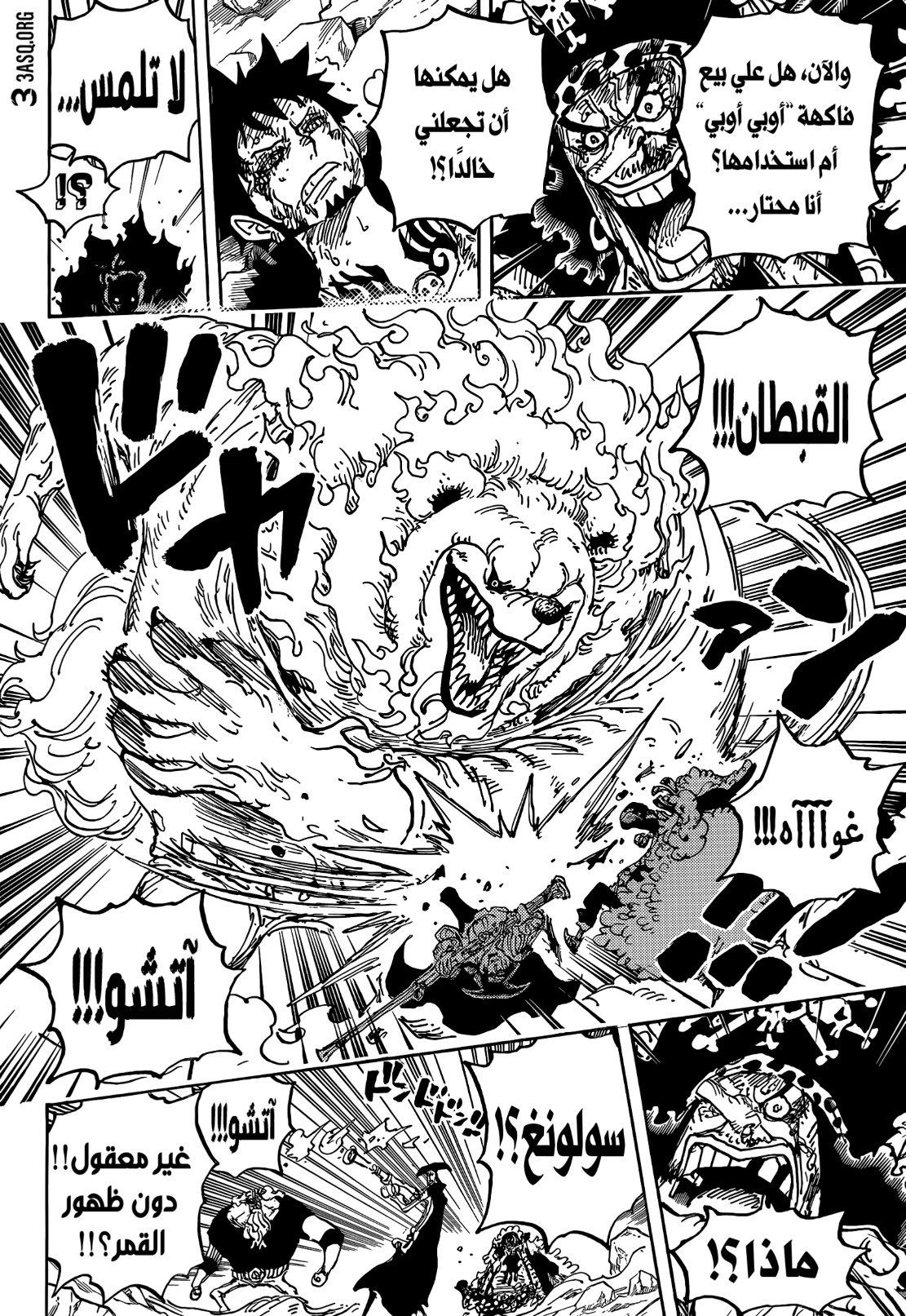 ون بيس الفصل 1081 - الصفحة 13