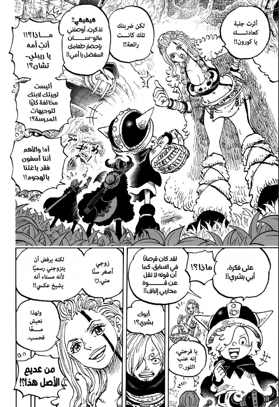 ون بيس الفصل 1135 - الصفحة 8