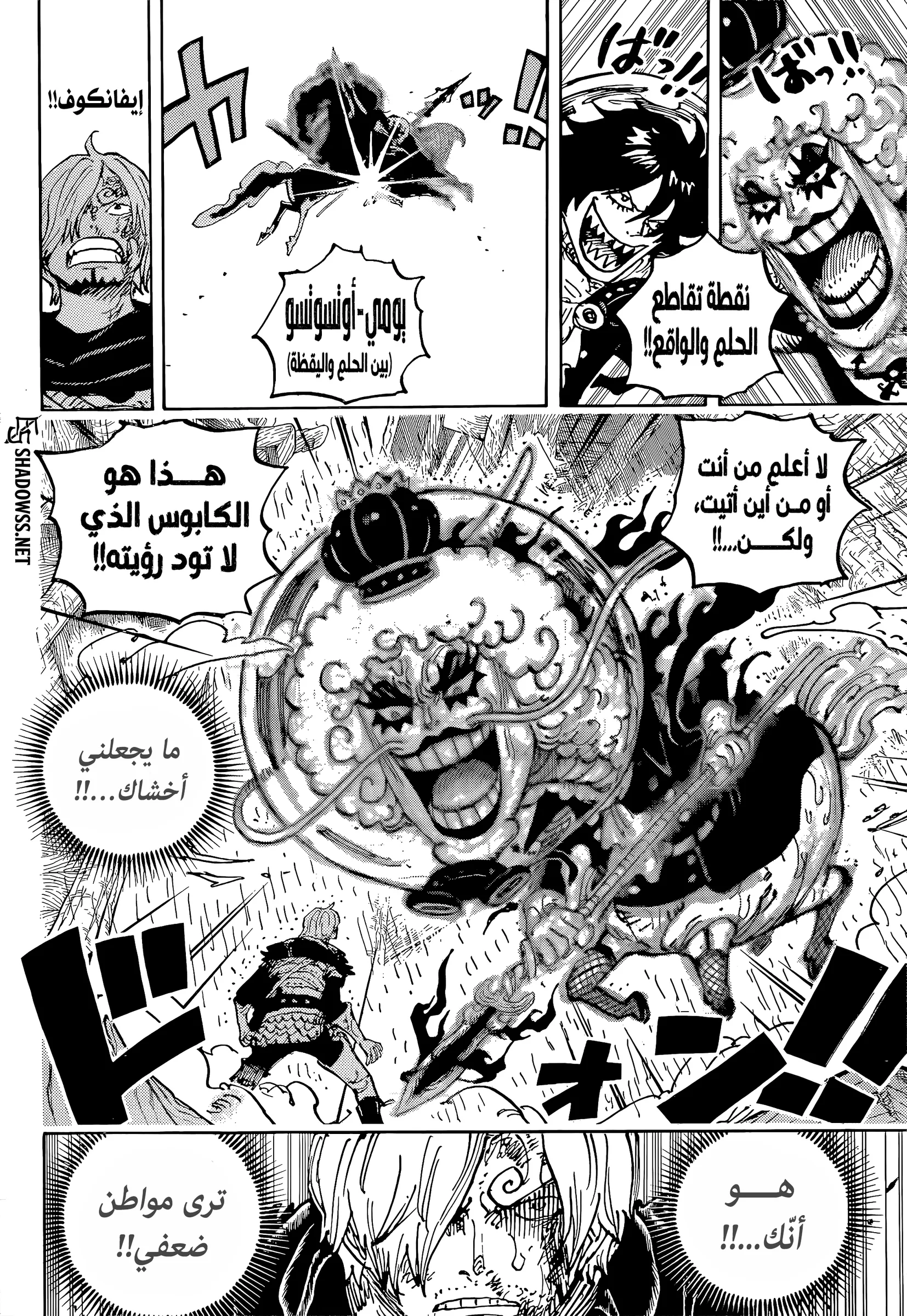 ون بيس الفصل 1196 - الصفحة 10