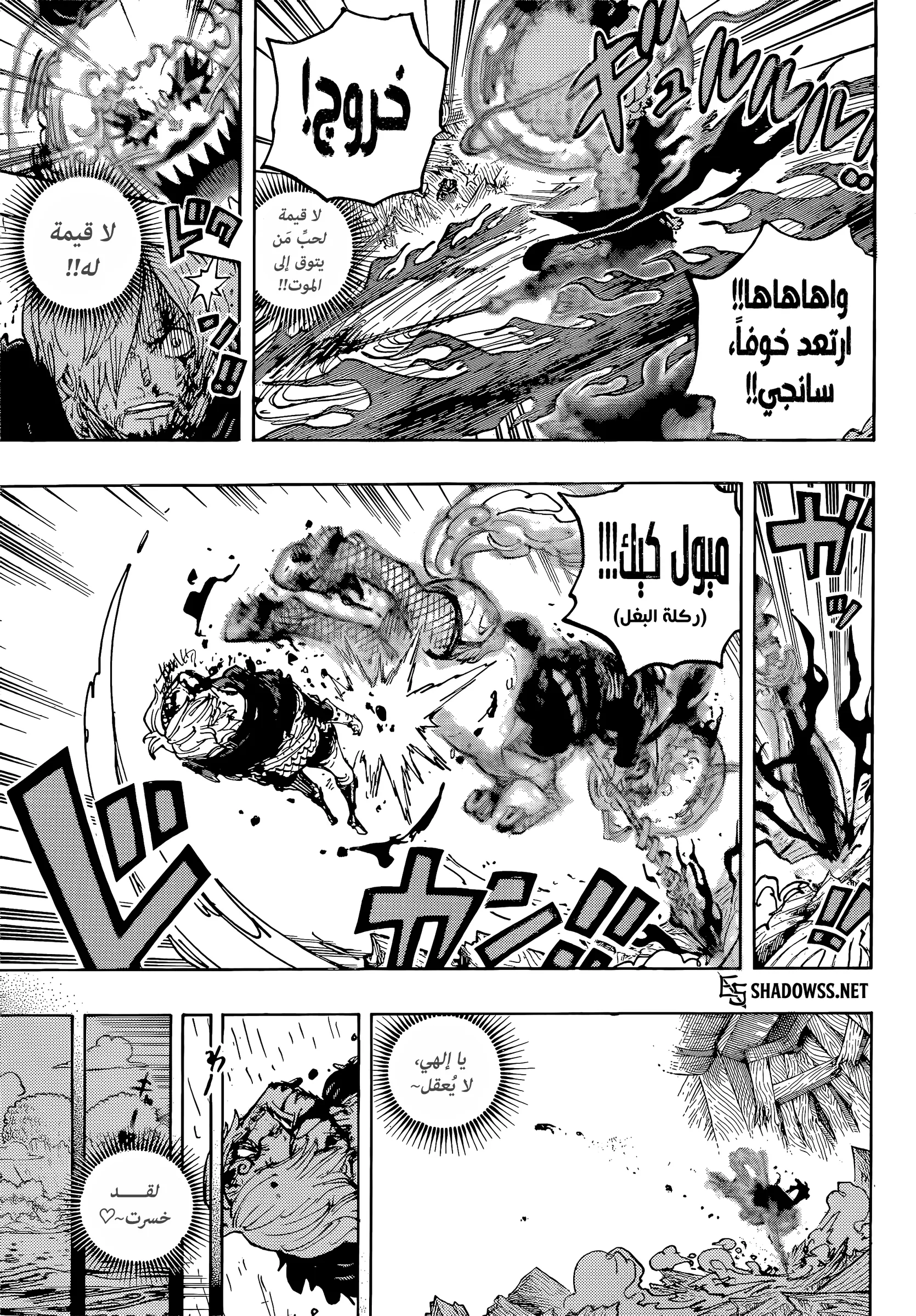 ون بيس الفصل 1196 - الصفحة 11