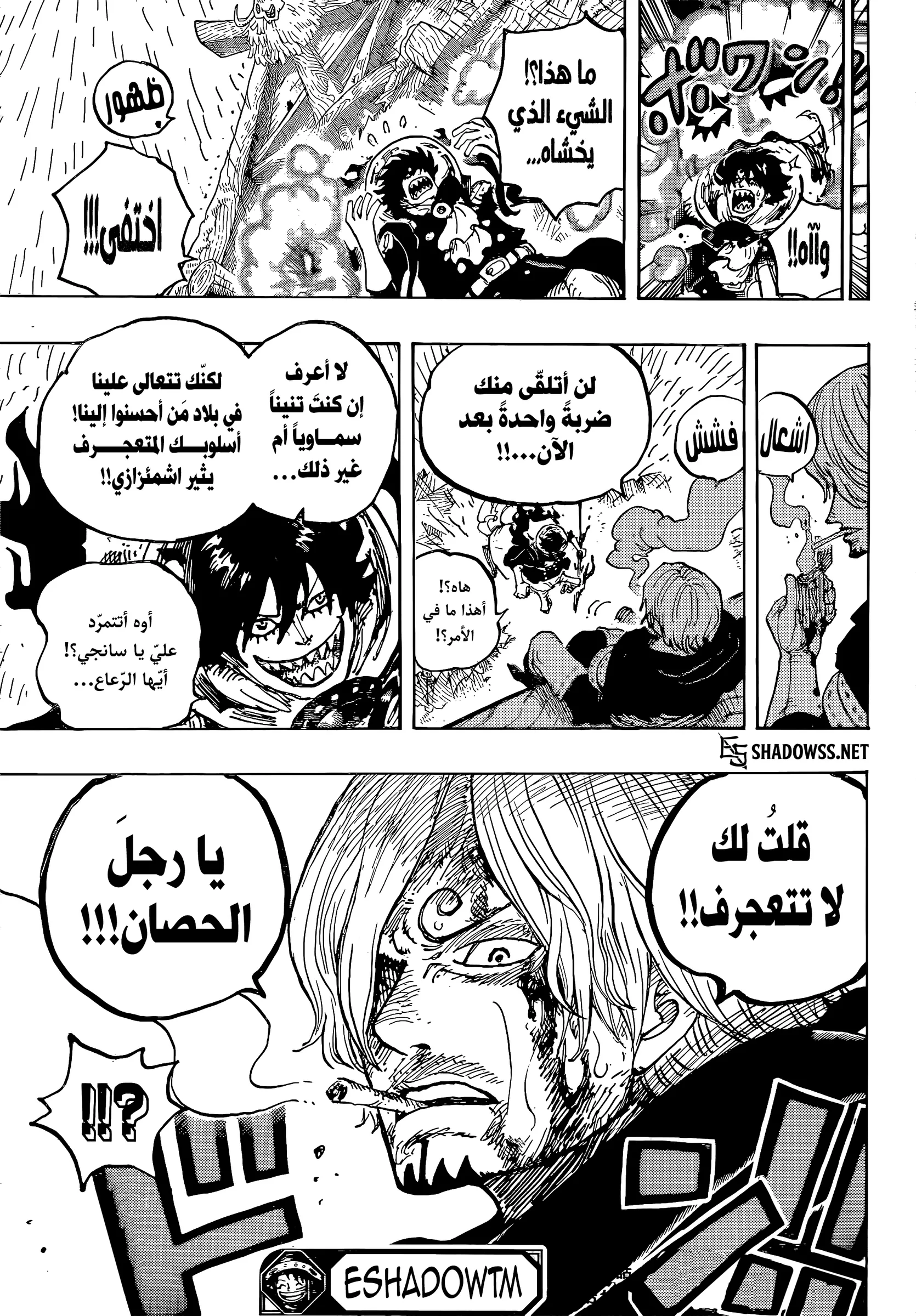 ون بيس الفصل 1196 - الصفحة 16