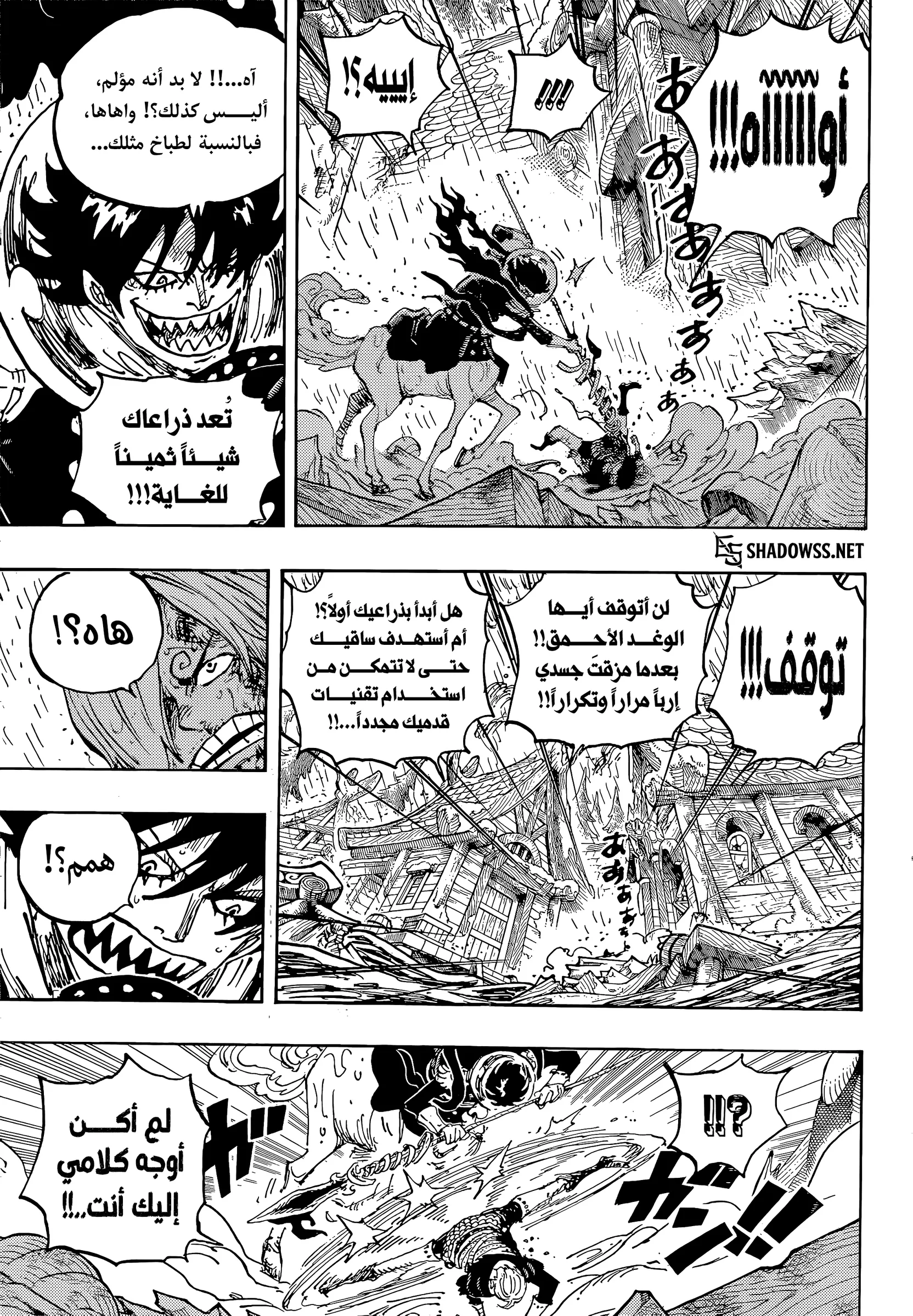 ون بيس الفصل 1196 - الصفحة 3