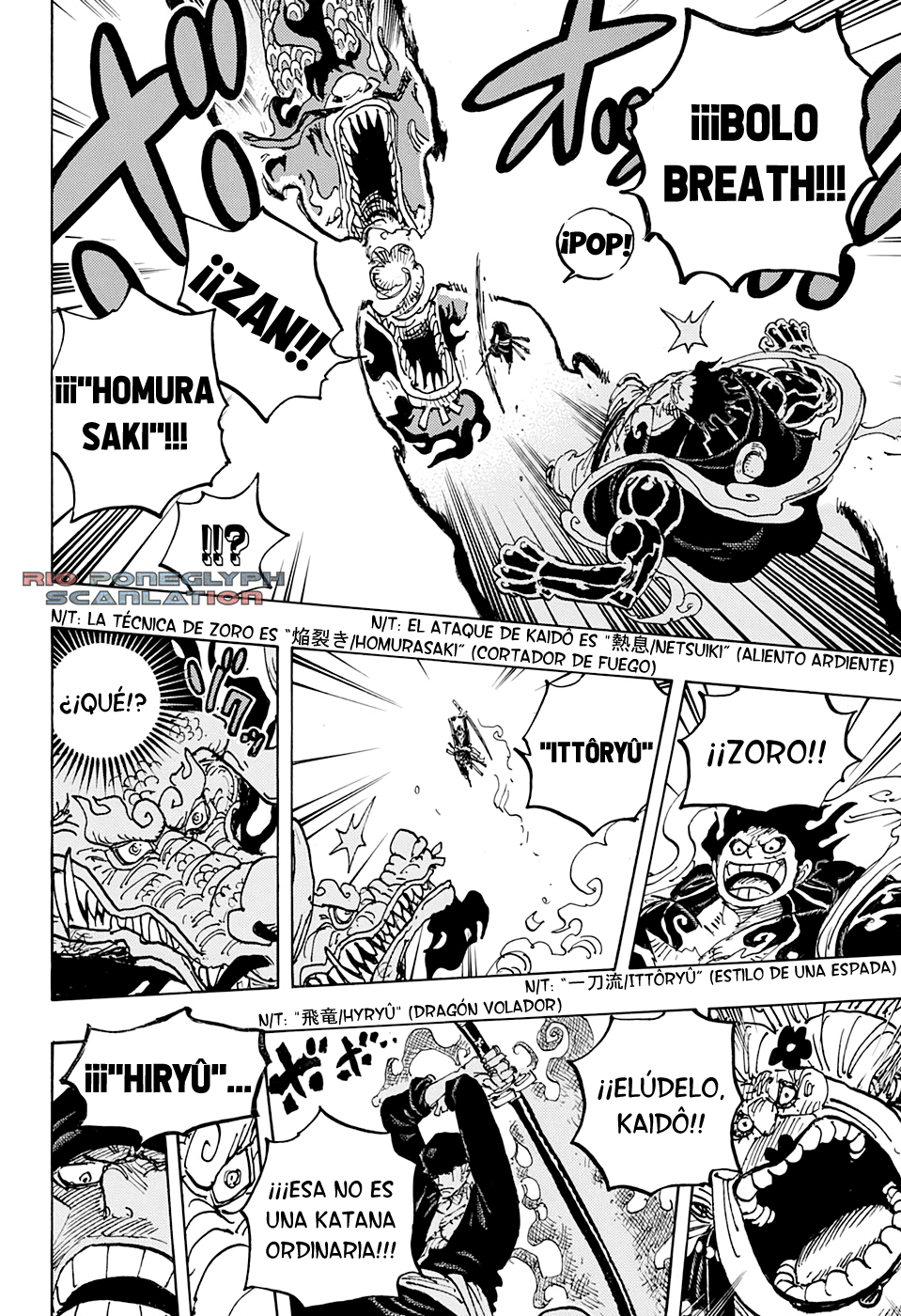 One Piece capítulo 1002 - página 10