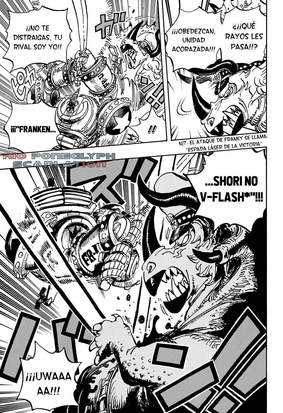 One Piece capítulo 1004 - página 12