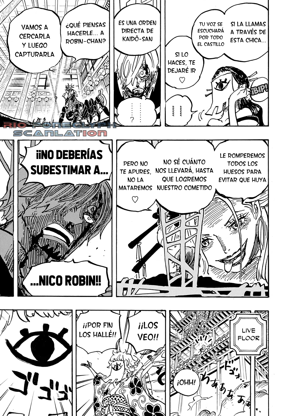 One Piece capítulo 1004 - página 14