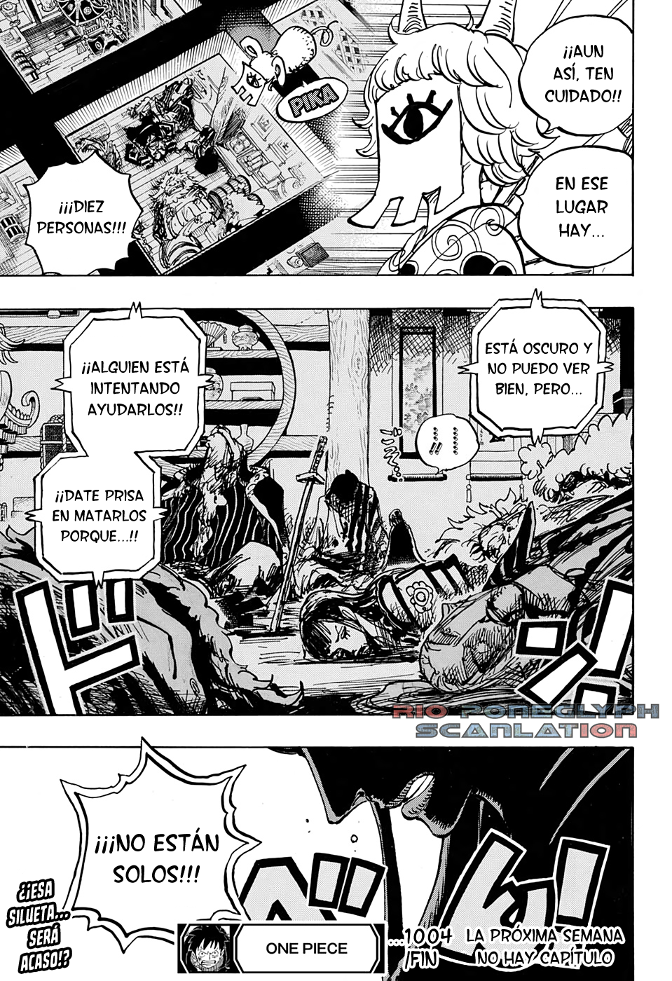 One Piece capítulo 1004 - página 16