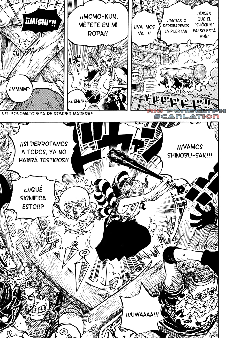 One Piece capítulo 1005 - página 14