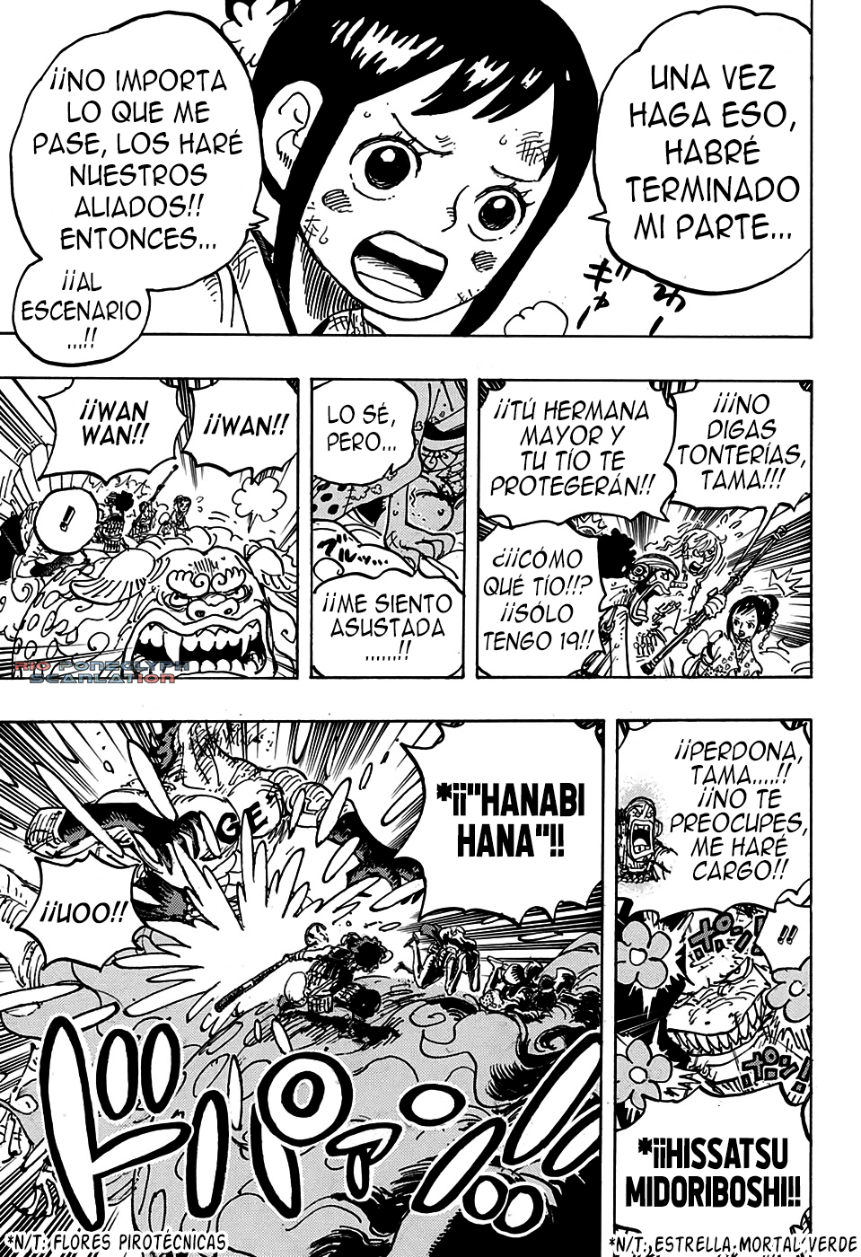 One Piece capítulo 1011 - página 11