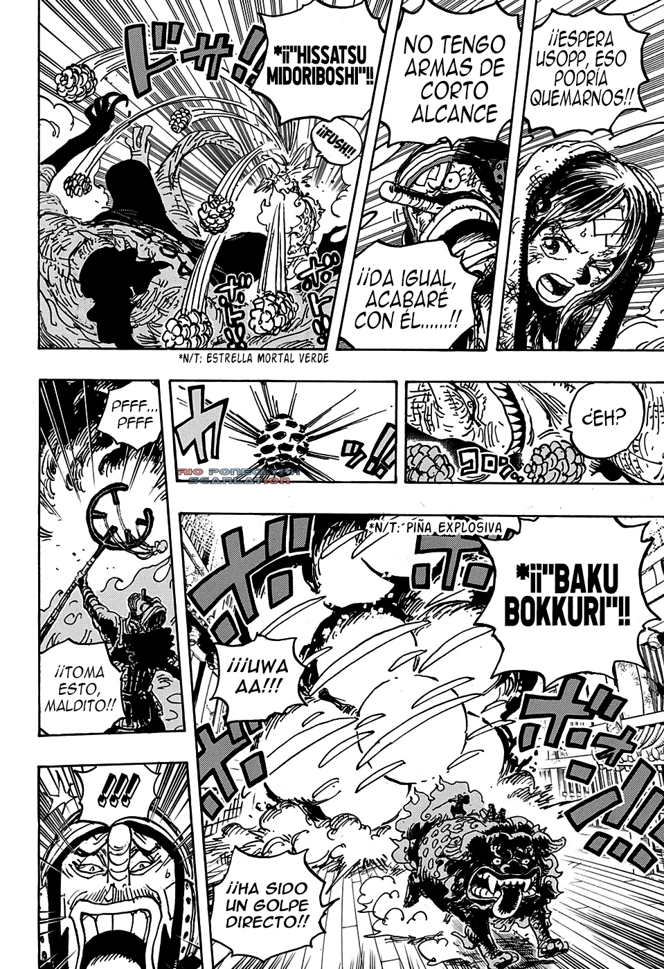One Piece capítulo 1011 - página 12
