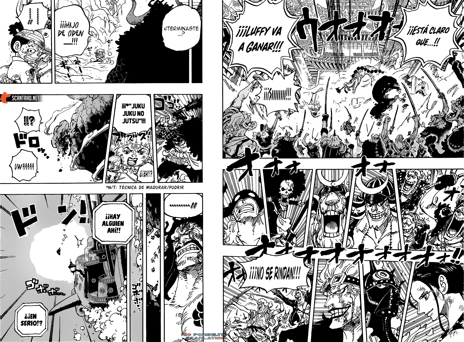 One Piece capítulo 1015 - página 13