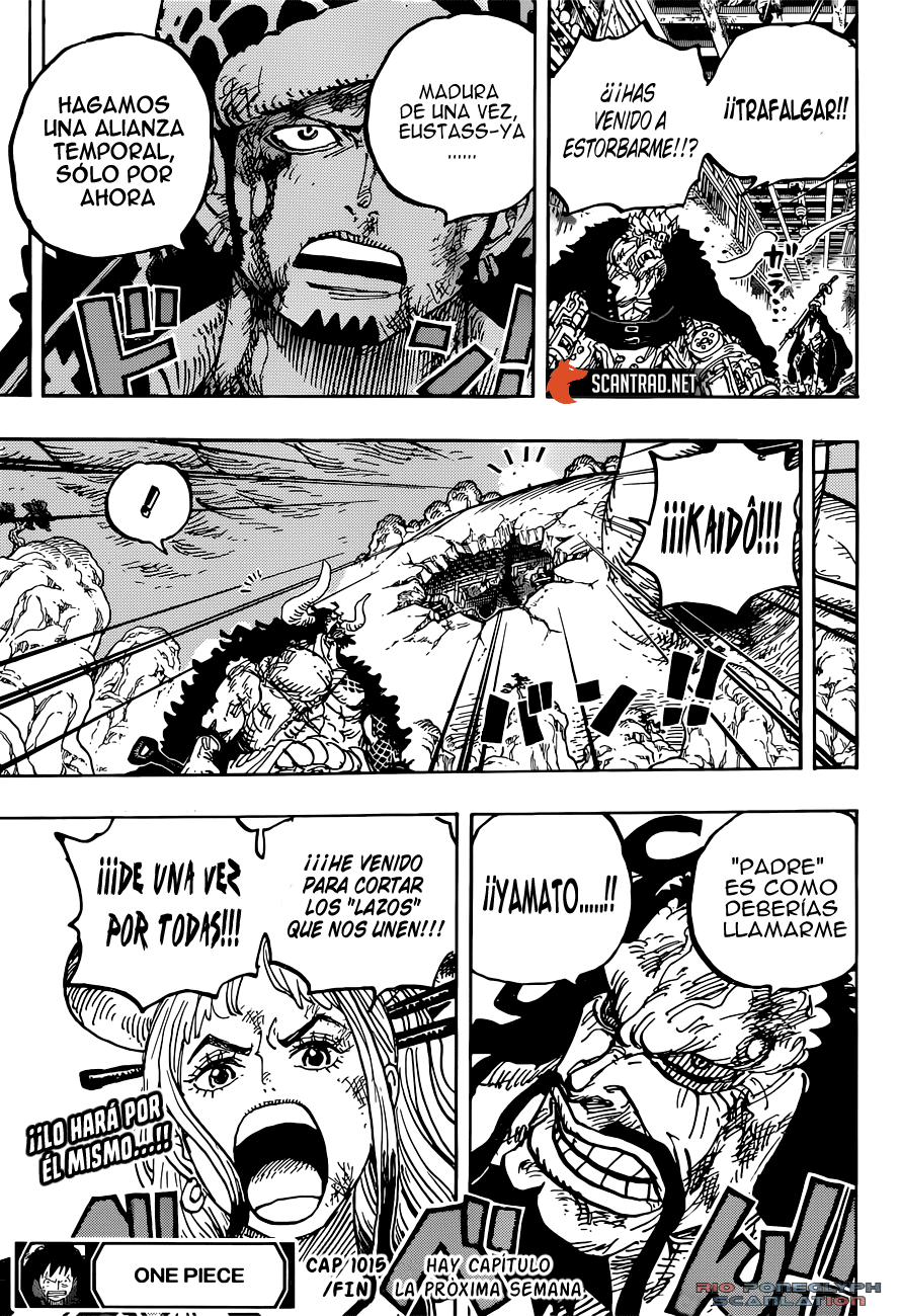 One Piece capítulo 1015 - página 15