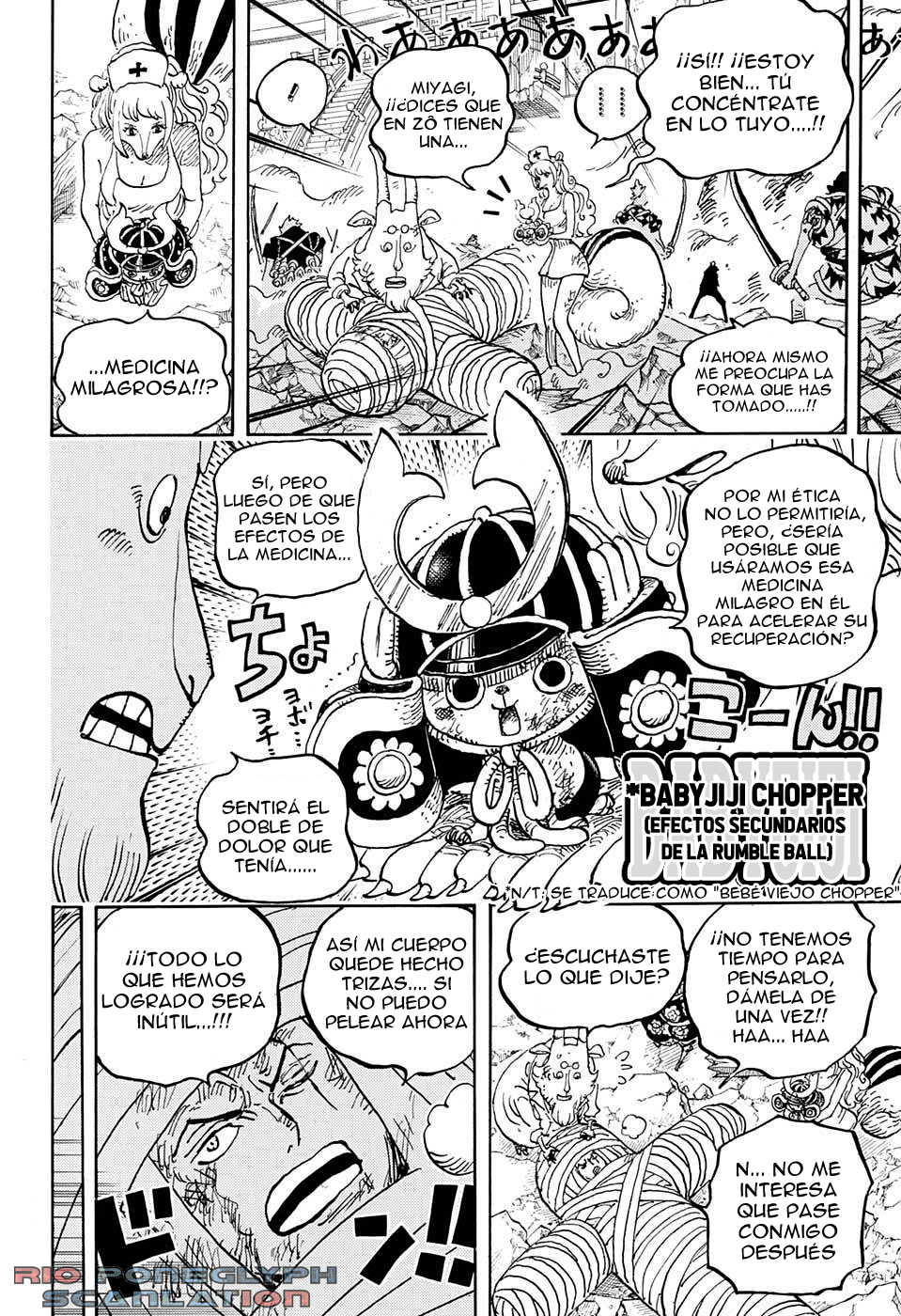 One Piece capítulo 1017 - página 13