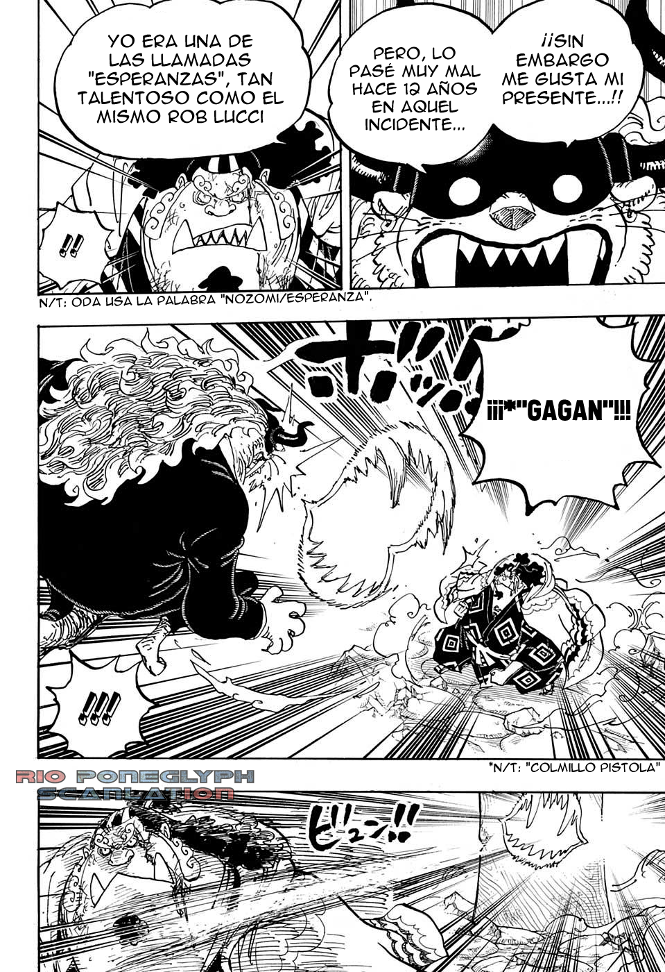 One Piece capítulo 1017 - página 17