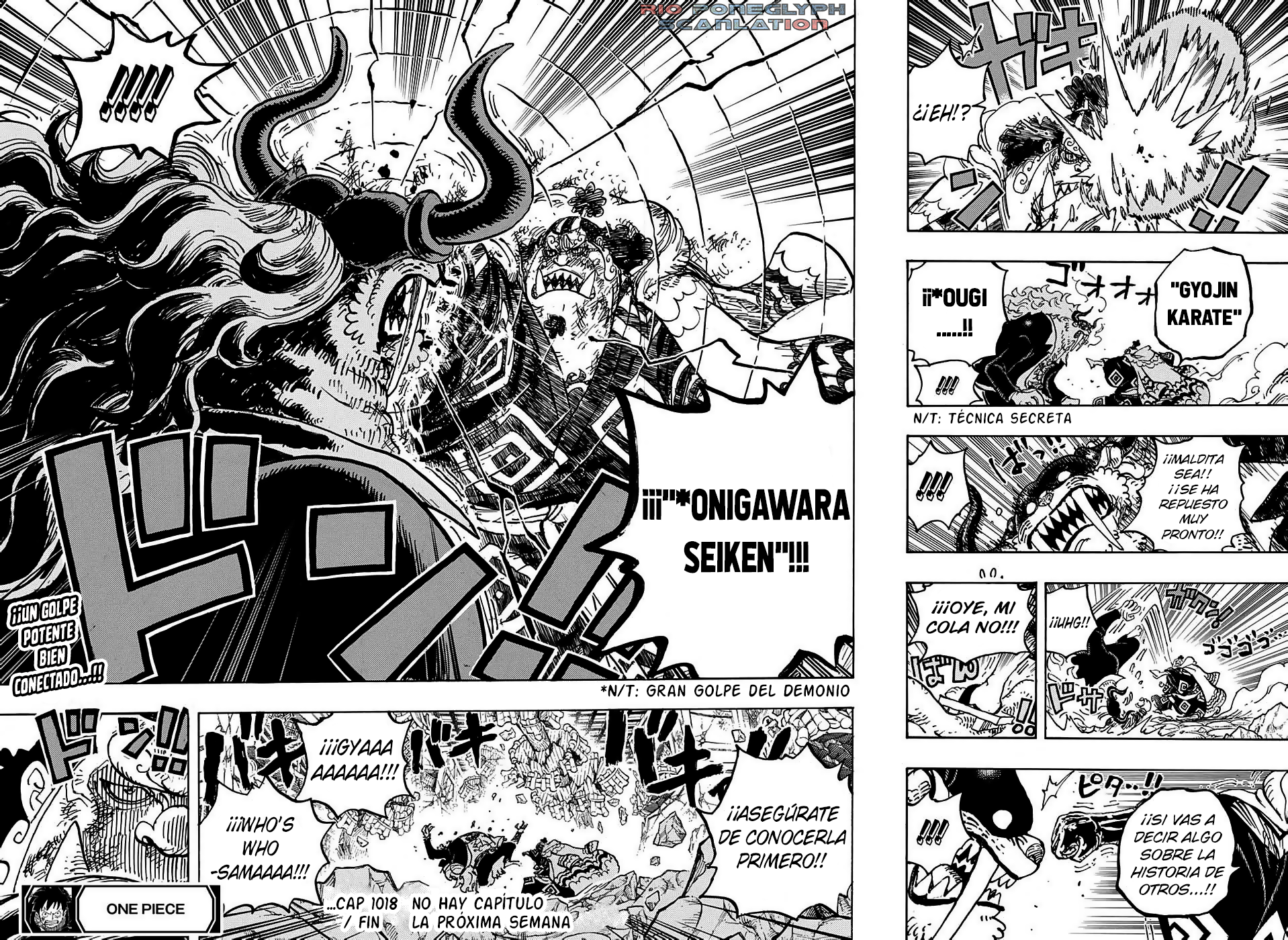 One Piece capítulo 1018 - página 16