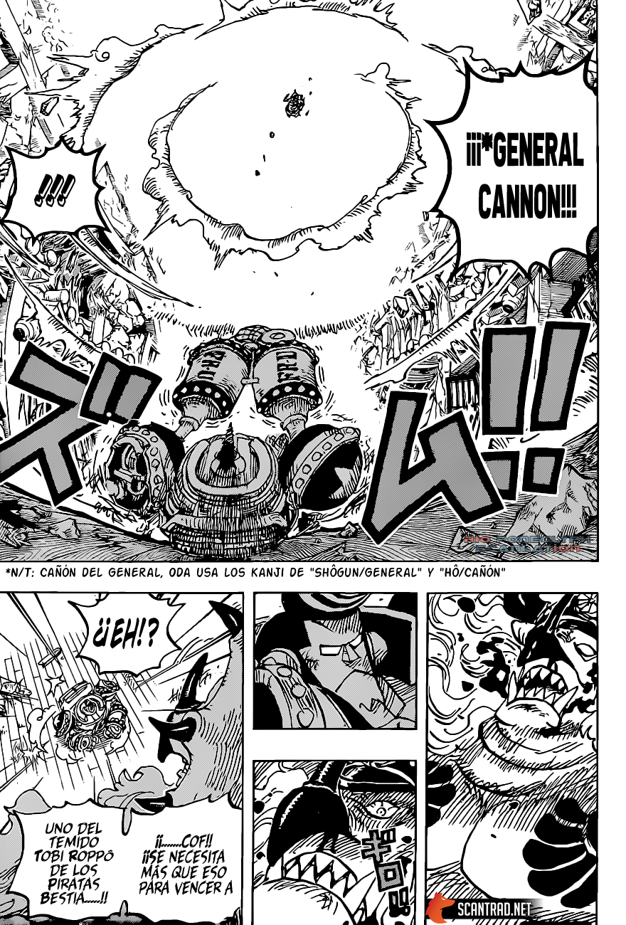 One Piece capítulo 1019 - página 14