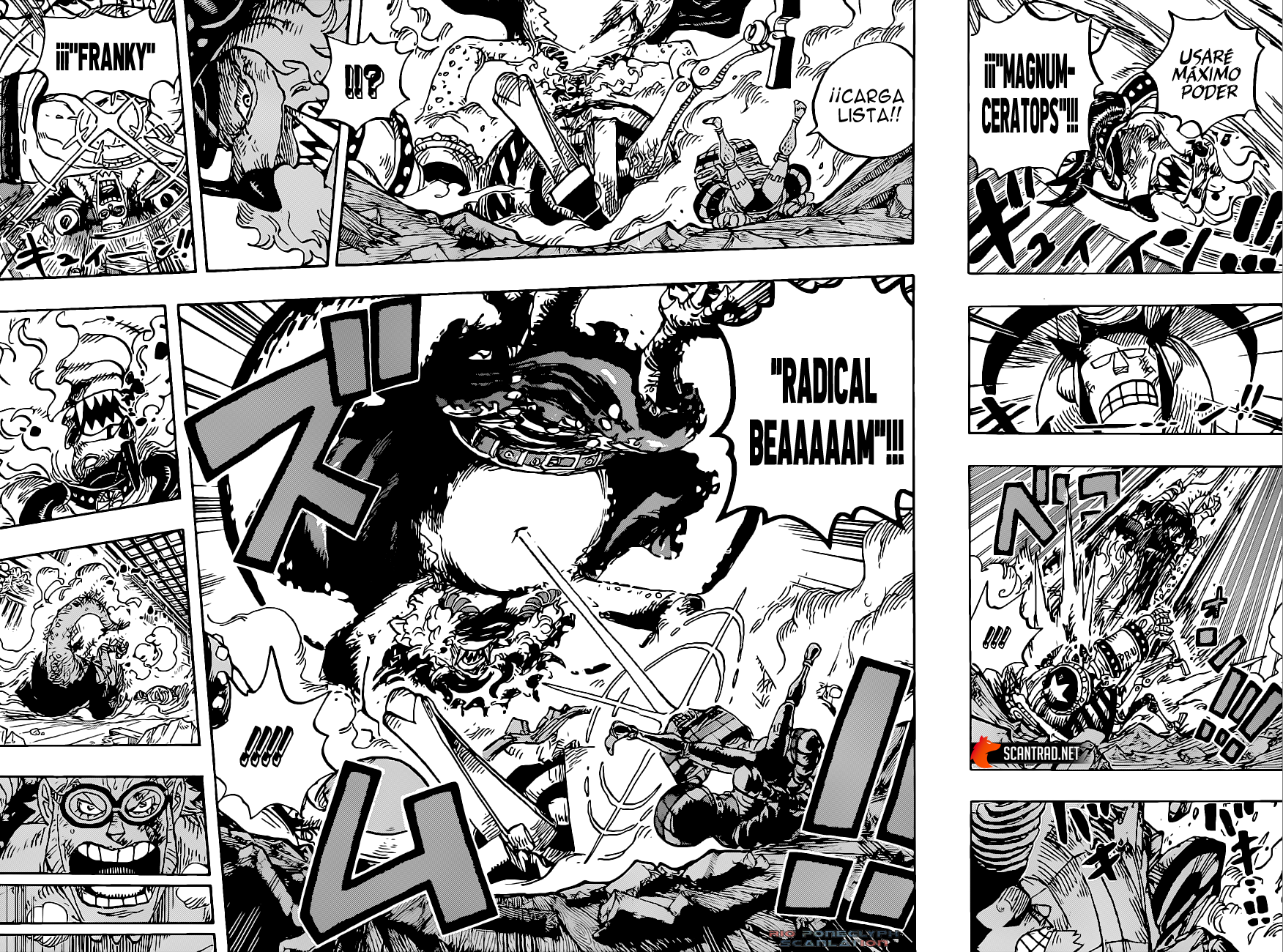 One Piece capítulo 1019 - página 15