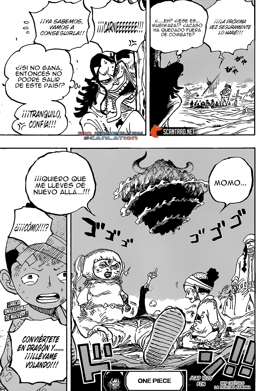 One Piece capítulo 1020 - página 17