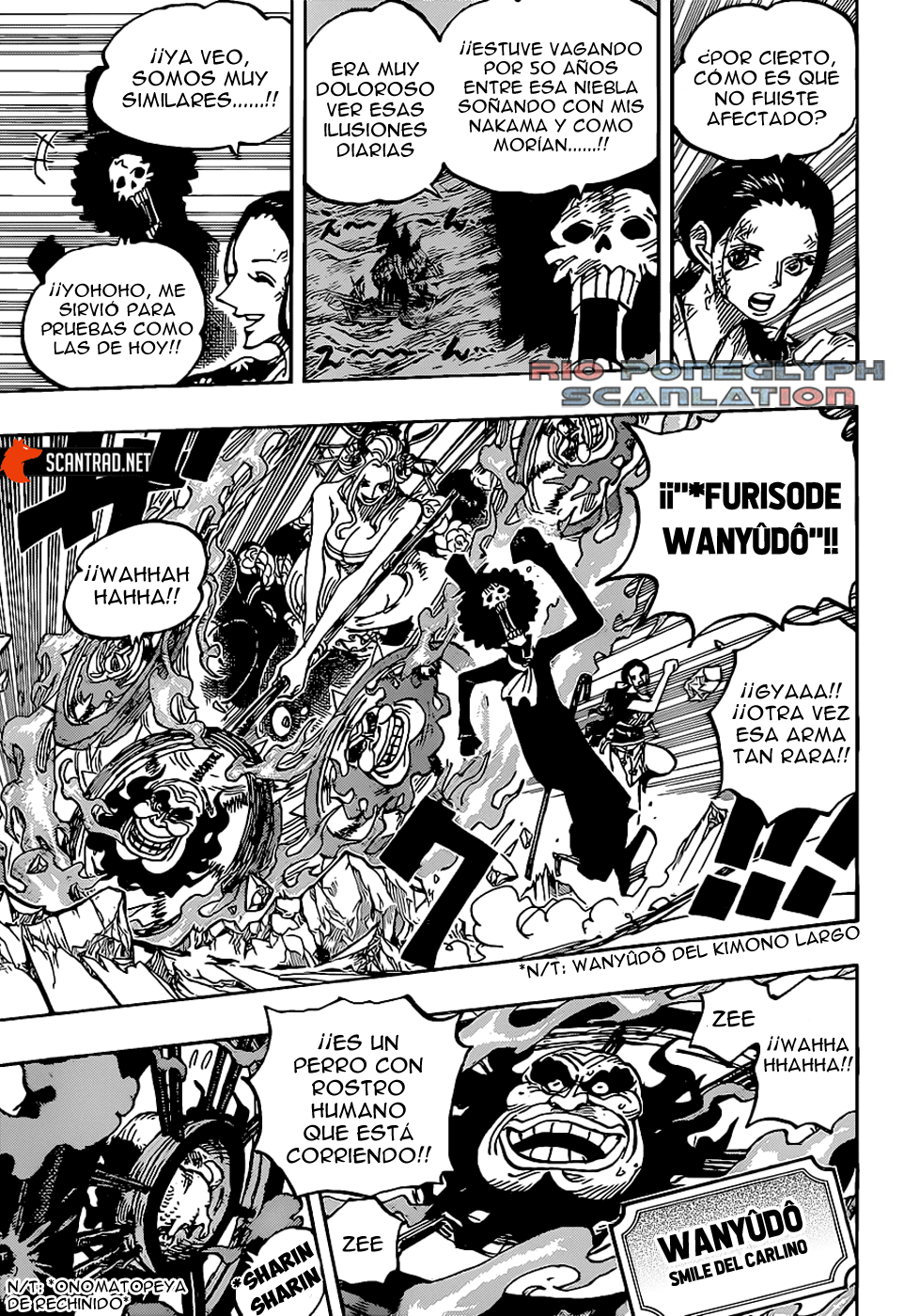 One Piece capítulo 1020 - página 9