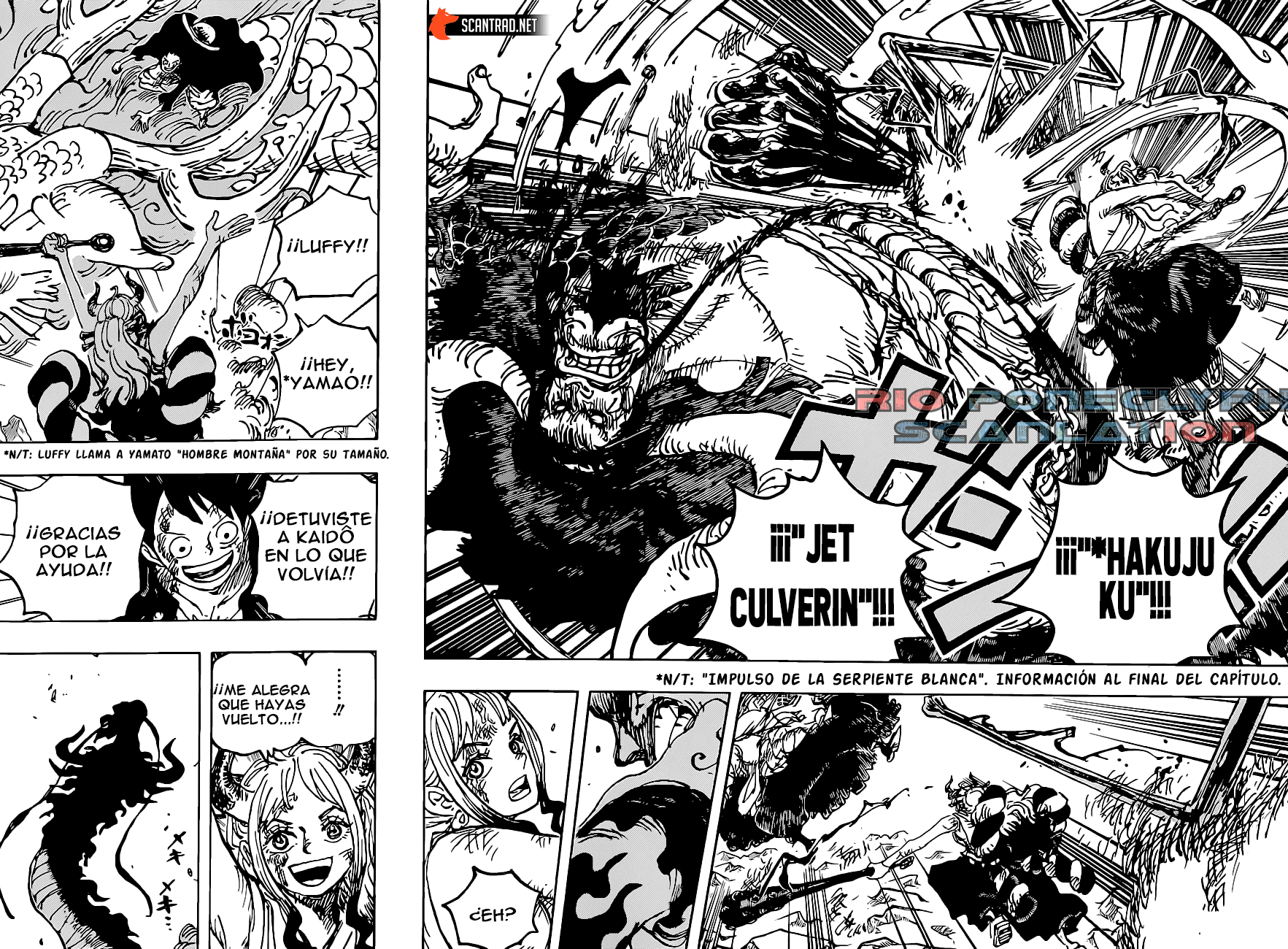 One Piece capítulo 1025 - página 14