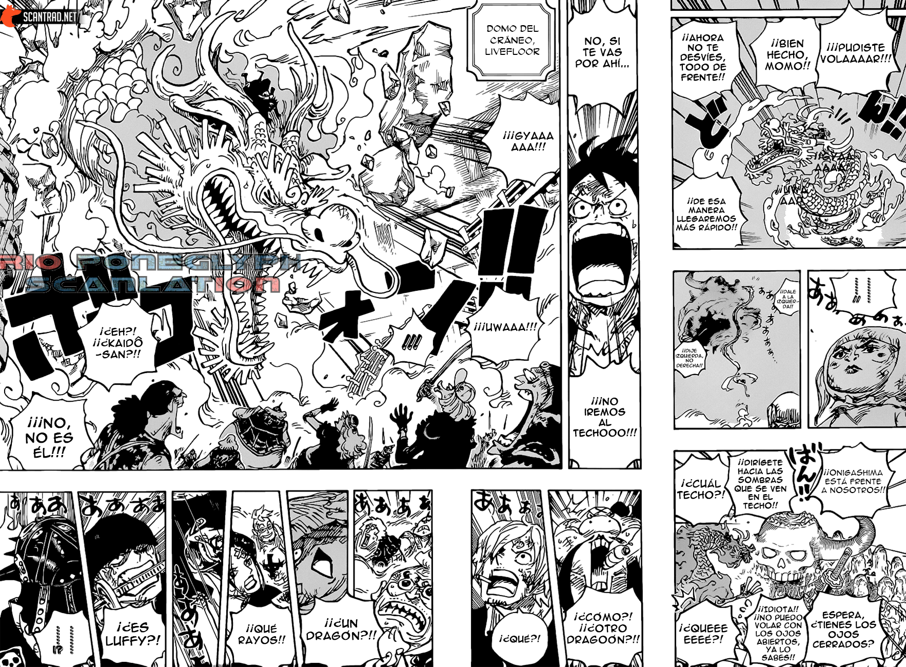 One Piece capítulo 1025 - página 9