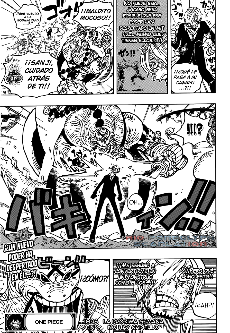 One Piece capítulo 1028 - página 16