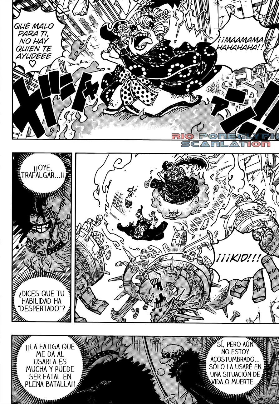 One Piece capítulo 1030 - página 13