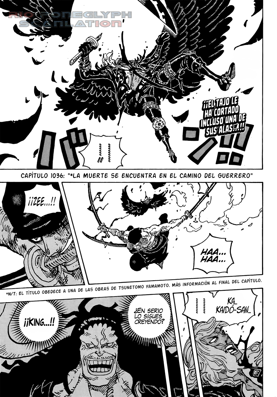 One Piece capítulo 1036 - página 2