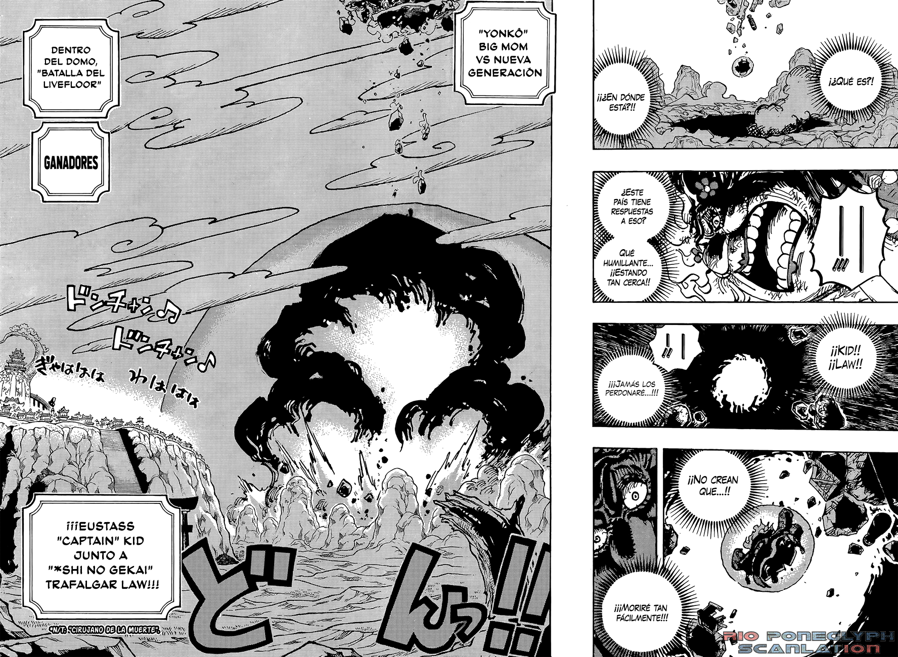 One Piece capítulo 1040 - página 10