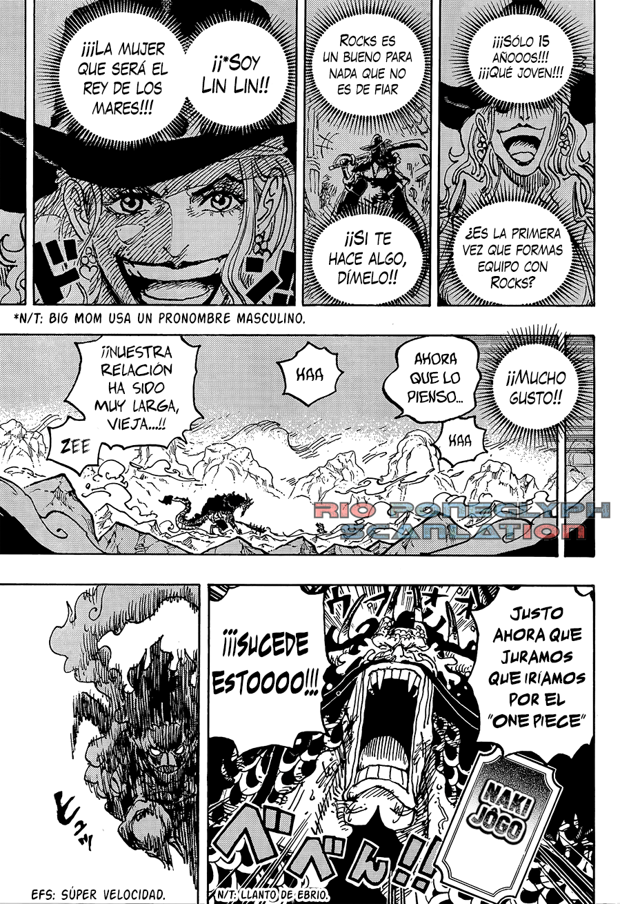 One Piece capítulo 1041 - página 15