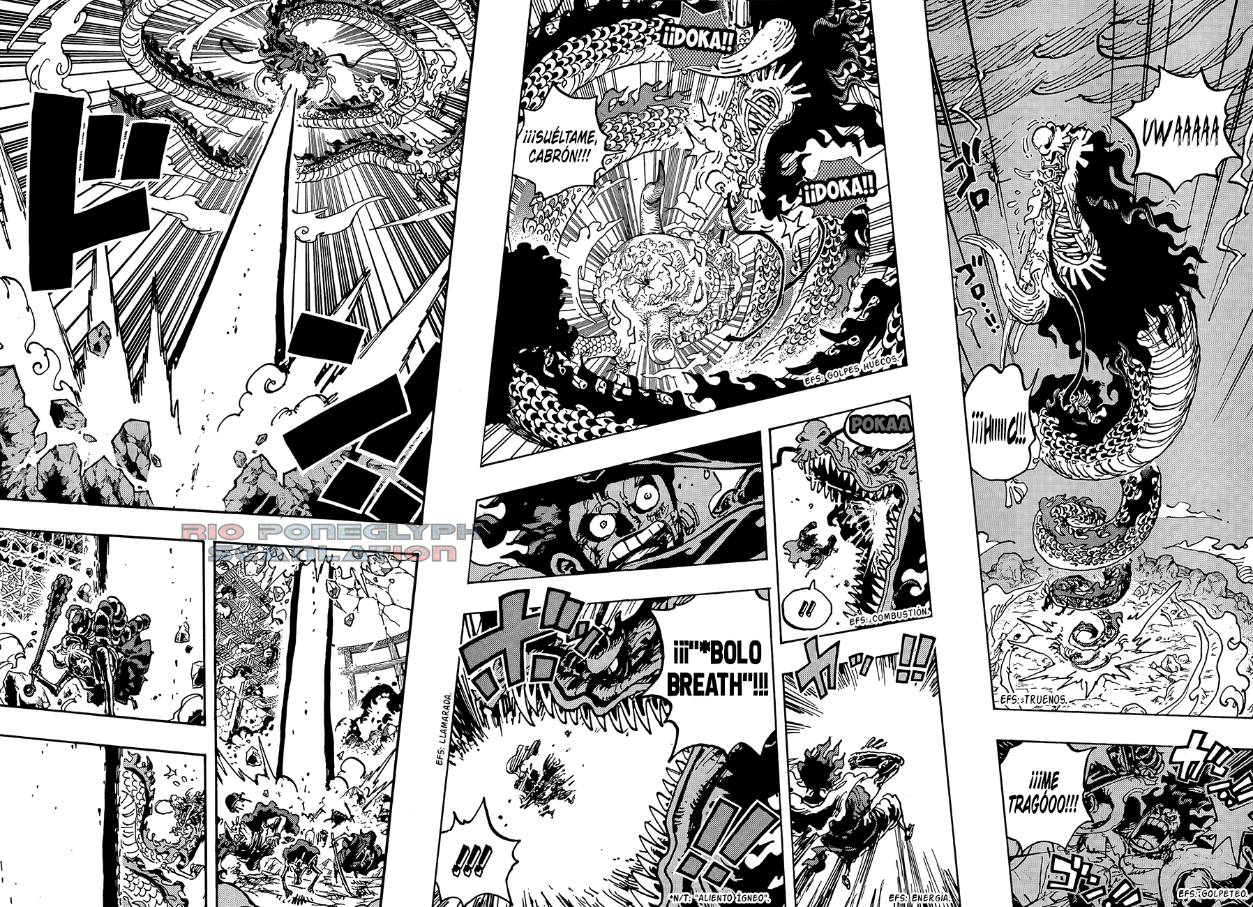One Piece capítulo 1042 - página 8