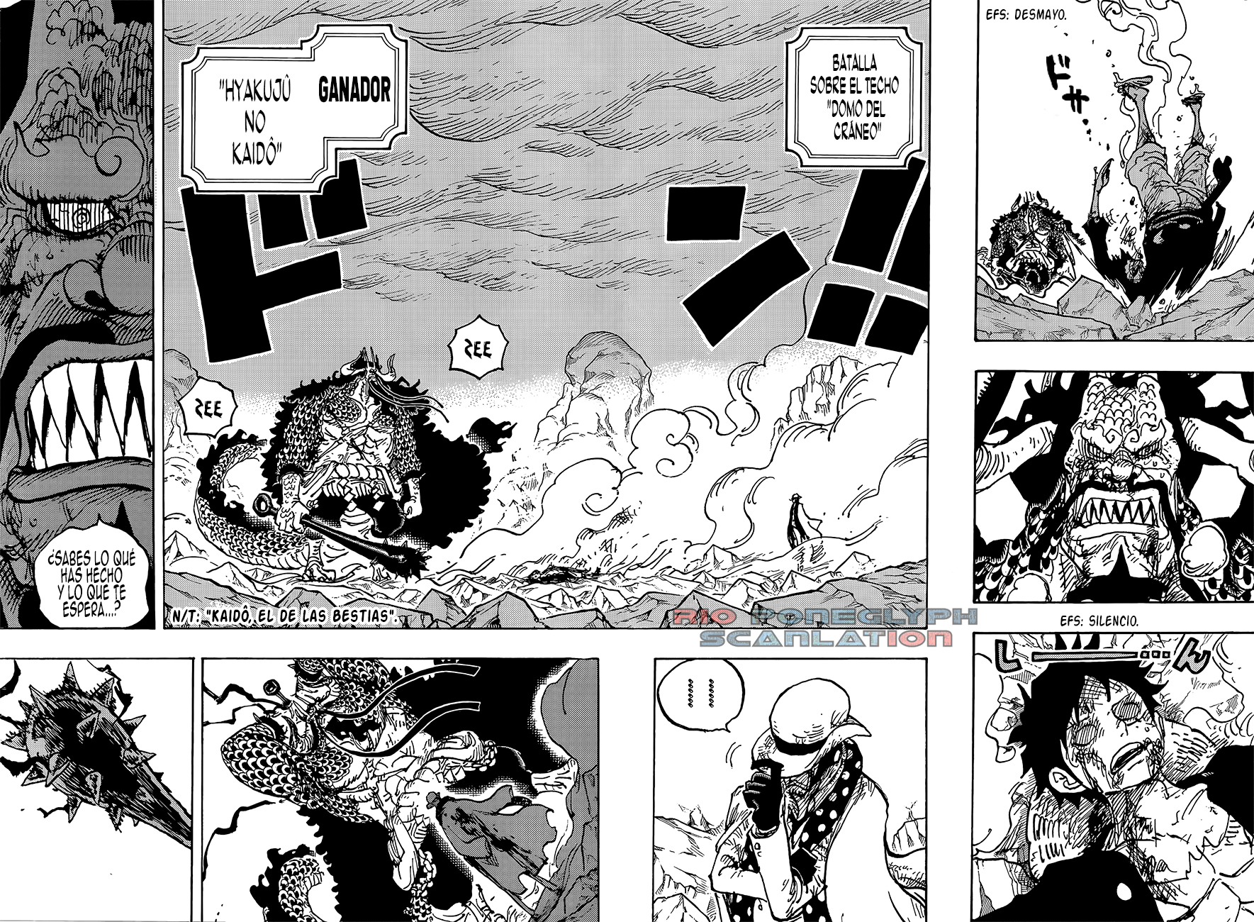 One Piece capítulo 1043 - página 4