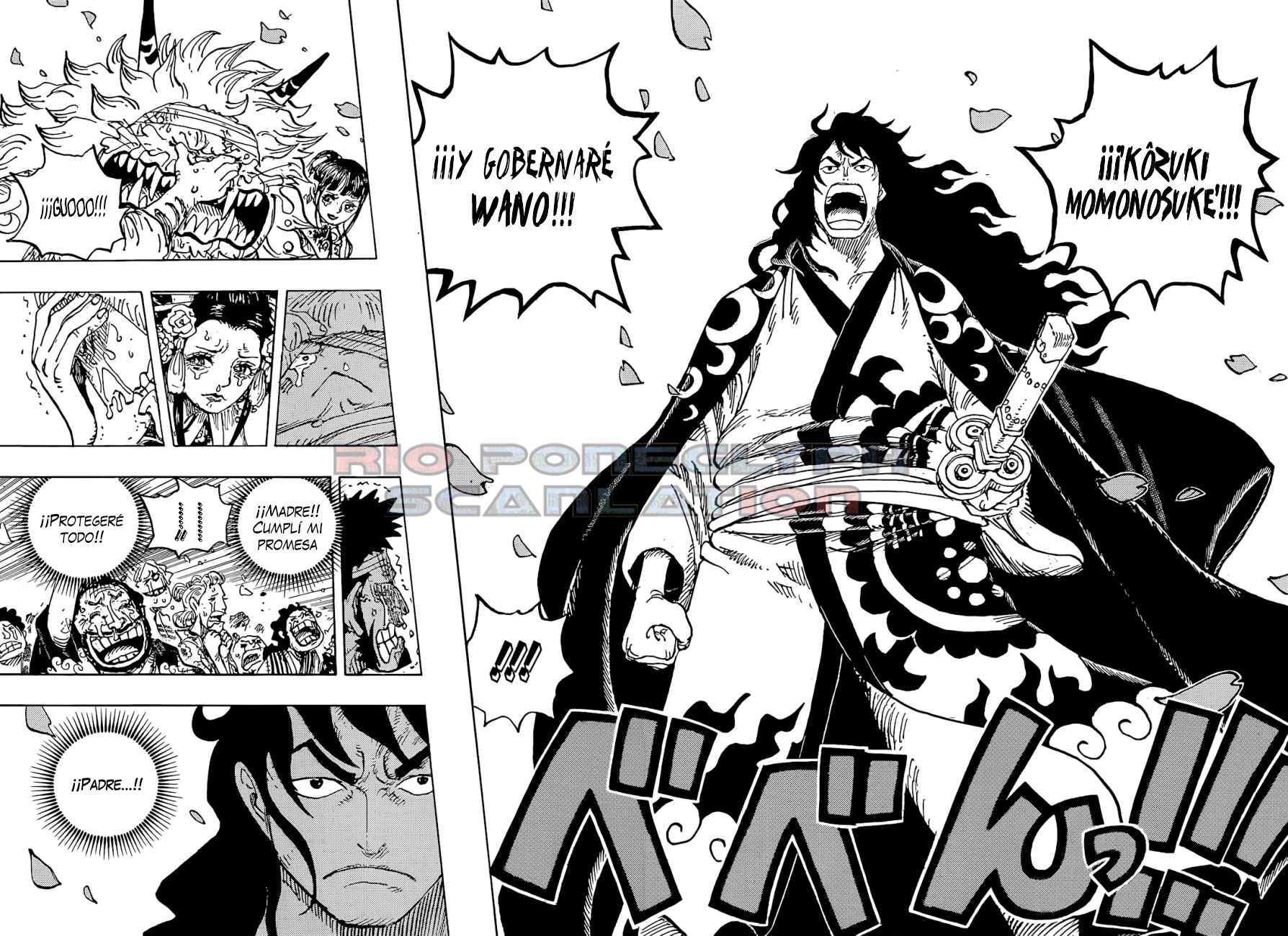 One Piece capítulo 1051 - página 14