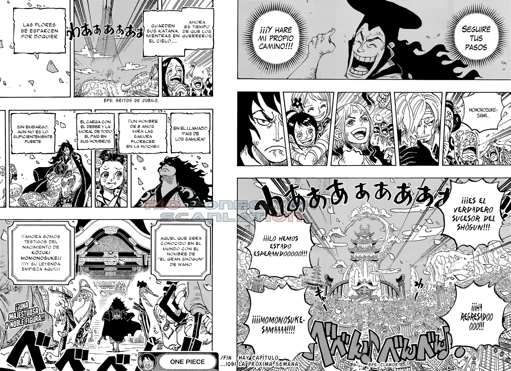 One Piece capítulo 1051 - página 15