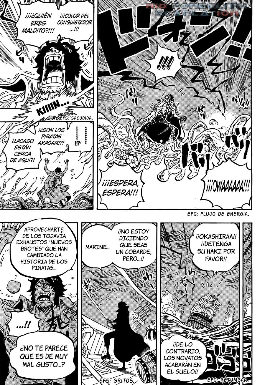 One Piece capítulo 1055 - página 13